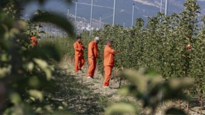 Bakan Yılmaz Tunç, ceza ve infaz kurumlarında hükümlü ve tutukluların