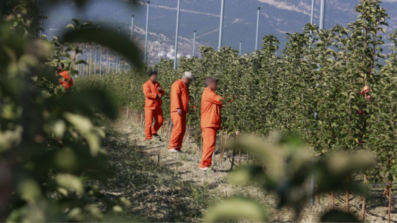 Bakan Yılmaz Tunç, ceza ve infaz kurumlarında hükümlü ve tutukluların