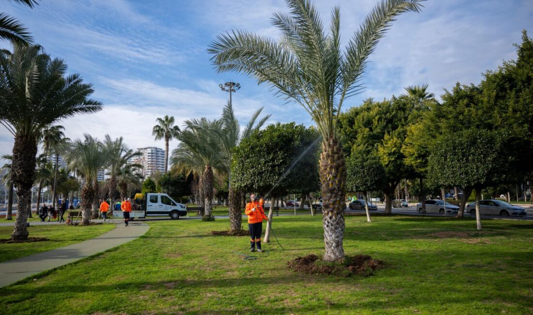 Mersin Büyükşehir Belediyesi Park ve Bahçeler Dairesi Başkanlığı ekipleri, özellikle