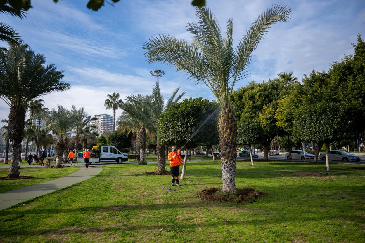 Mersin Büyükşehir Belediyesi Park ve Bahçeler Dairesi Başkanlığı ekipleri, özellikle