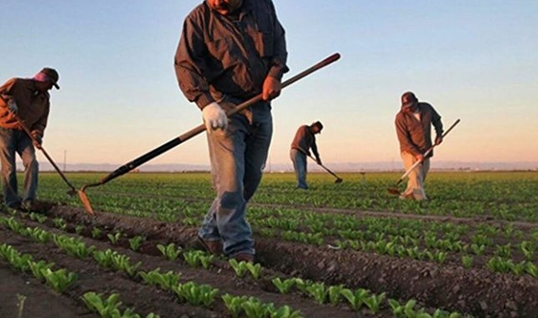 Çiftçilere 3 Milyar TL’lik Destek Ödemesi Bugün Hesaplara Yatacak Tarım ve Orman Bakanı İbrahim Yumaklı, 3 milyar 218 milyon