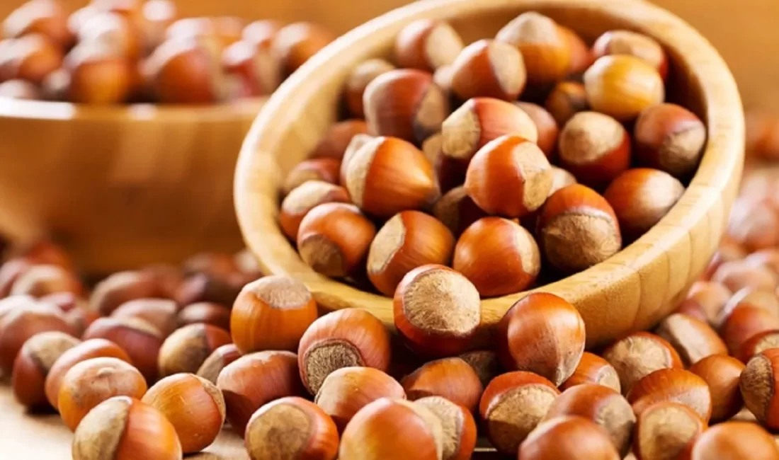 Fındık ihracatında rekor gelir: 1,5 milyar dolar aşıldı Türkiye, 2024-2025 fındık ihracat sezonunun altı aylık döneminde kayda değer