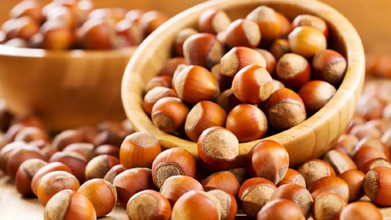 Türkiye, 2024-2025 fındık ihracat sezonunun altı aylık döneminde kayda değer