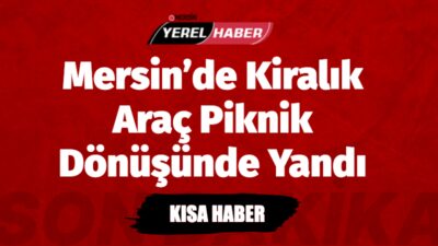Tarsus’ta piknik dönüşü yanan kiralık araç kullanılamaz hale geldi. Yangına