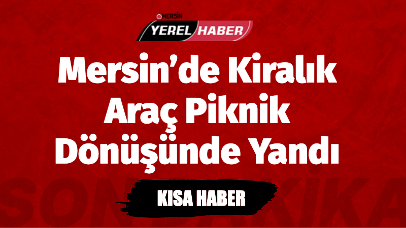 Tarsus’ta piknik dönüşü yanan kiralık araç kullanılamaz hale geldi. Yangına
