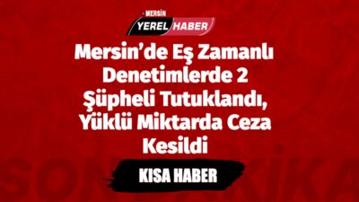 Mersin’de polis ekiplerinin gerçekleştirdiği eş zamanlı denetimlerde, fuhuş yaptırdığı tespit