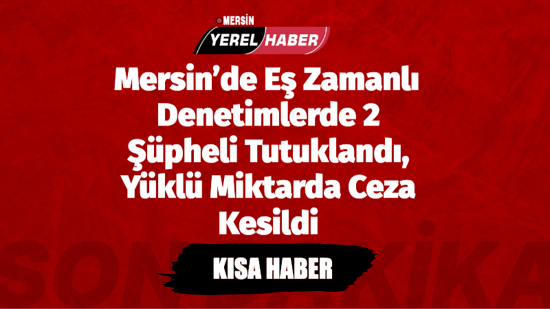 Mersin’de polis ekiplerinin gerçekleştirdiği eş zamanlı denetimlerde, fuhuş yaptırdığı tespit