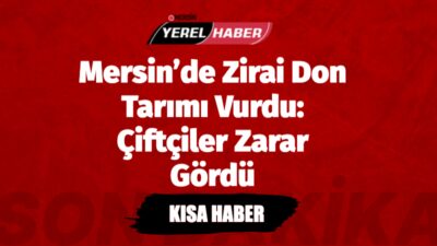 Mersin’de zirai don nedeniyle meyve ağaçları %100 zarar gördü, sebzelerde