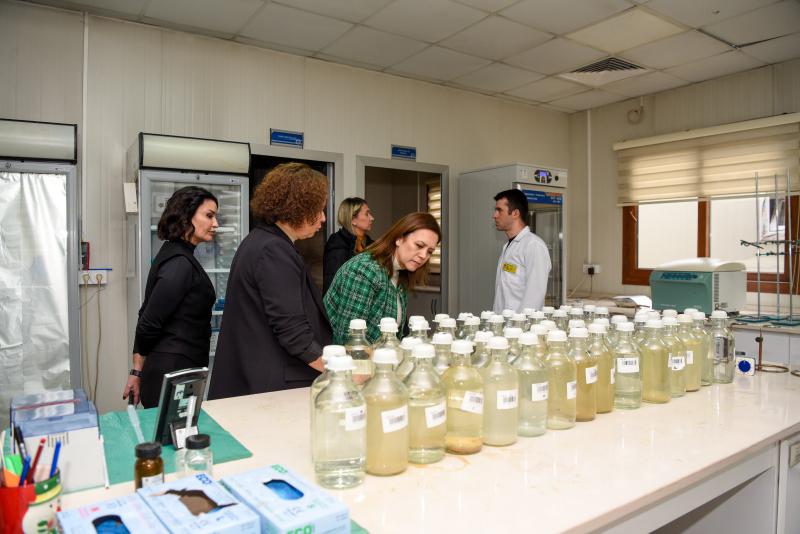 Mersin Büyükşehir Belediyesi Mersin Su ve Kanalizasyon İdaresi (MESKİ) Genel