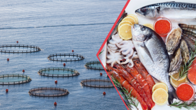 İstanbul-BHA TARIM VE ORMAN BAKANI YUMAKLI: “97 ÜLKEYE YAPTIĞIMIZ SU