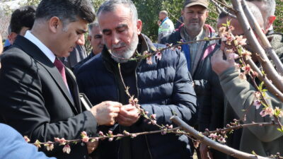Akdeniz Kaymakamı ve Belediye Başkan V. Zeyit Şener, Akdeniz İlçe