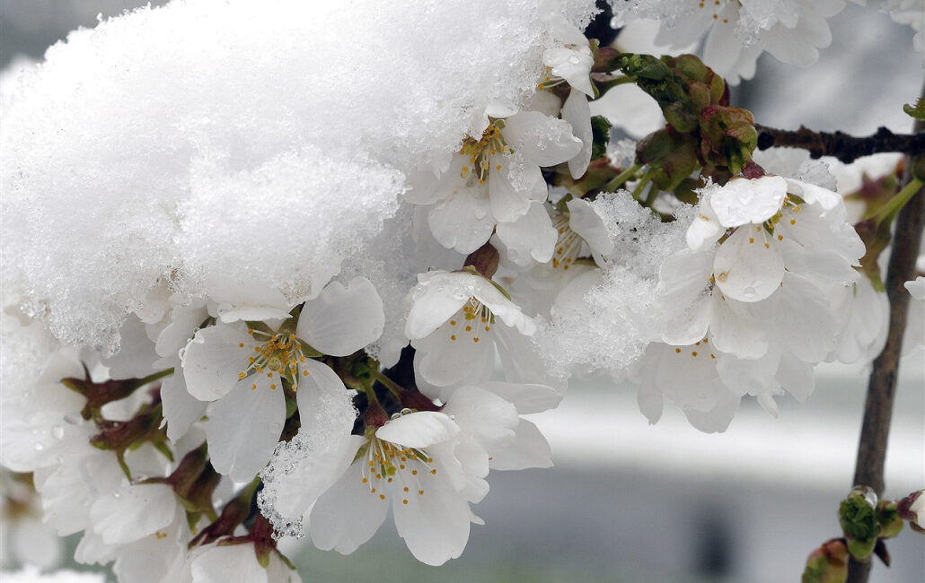 Meteoroloji Genel Müdürlüğü, Balkanlar’dan gelen soğuk ve yağışlı hava nedeniyle