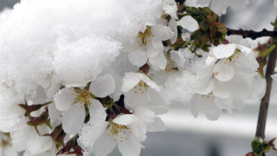 Meteoroloji Genel Müdürlüğü, Balkanlar’dan gelen soğuk ve yağışlı hava nedeniyle