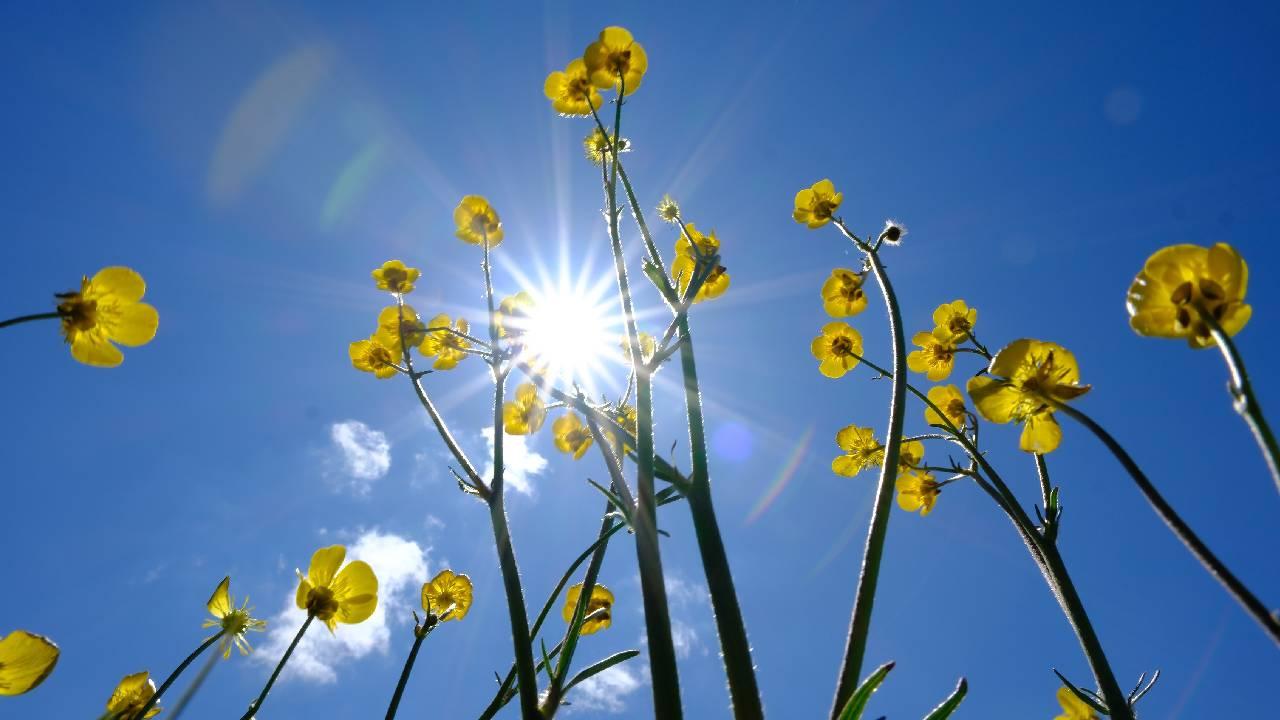 Türkiye genelinde mevsim normallerinin üzerinde seyreden hava sıcaklıkları, hafta sonu