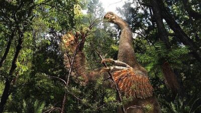 Kanada’dan araştırmacılar, milyonlarca yıl önce yaşamış üç parmaklı Terizinozor grubuna