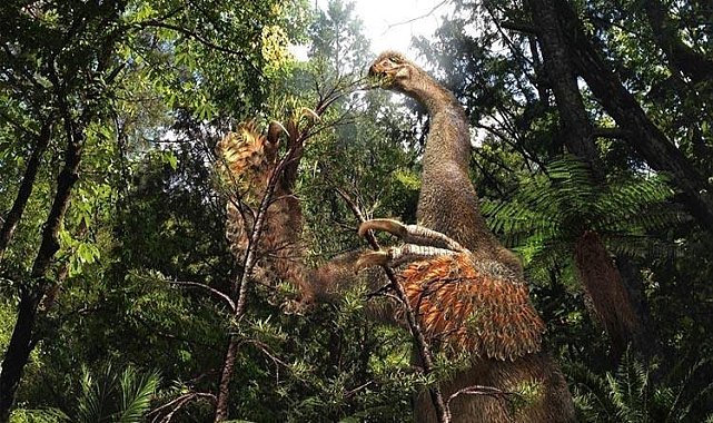 Bilim dünyasını şaşkına çeviren keşif! Gizemli dinozor türü ortaya çıktı – Dünya Kanada’dan araştırmacılar, milyonlarca yıl önce yaşamış üç parmaklı Terizinozor grubuna