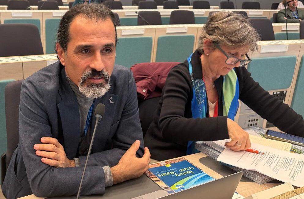 Akdeniz’in Korunması için Mersin Büyükşehir’den Adım Mersin Büyükşehir Belediyesi, Akdeniz ve Mersin’in kıyı restorasyonuna yönelik yürüttüğü