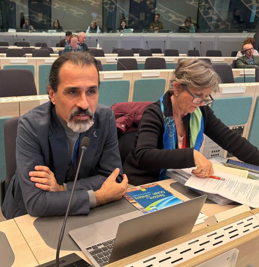 Mersin Büyükşehir Belediyesi, Akdeniz ve Mersin’in kıyı restorasyonuna yönelik yürüttüğü