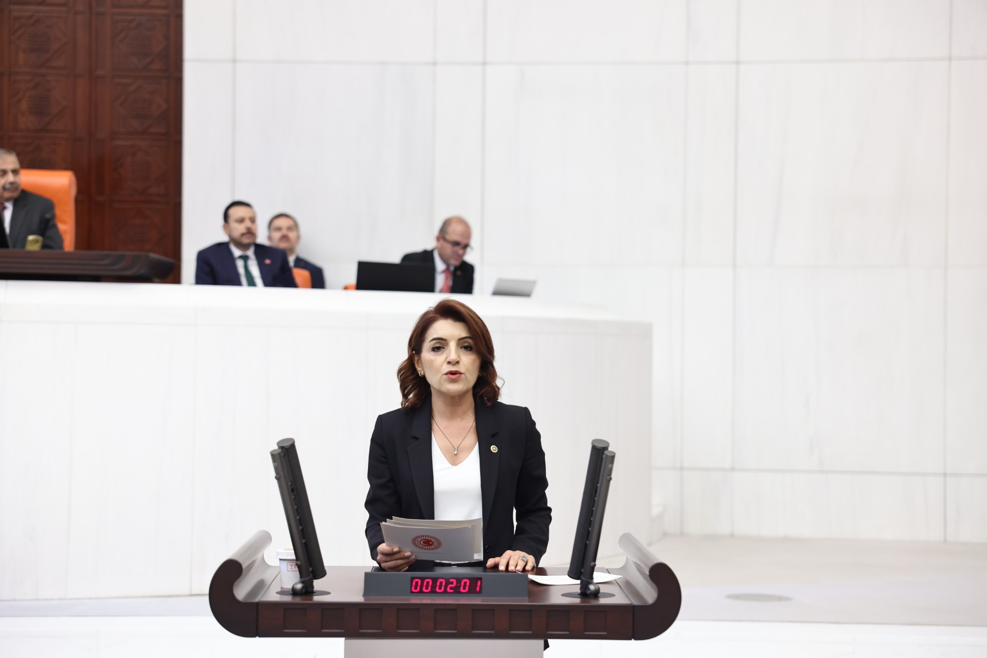 CHP Mersin Milletvekili Gülcan Kış, 8 Mart Dünya Emekçi Kadınlar