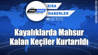 Erdemli’de kayalıklarda mahsur kalan altı keçi, itfaiye ekiplerinin müdahalesiyle kurtarıldı