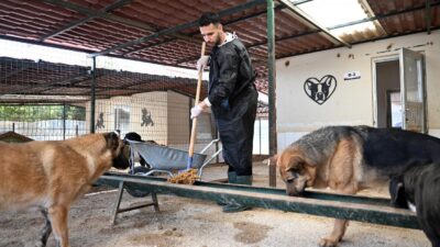 ‘Mersin’de yaşayan her canlının belediyesi olma’ anlayışı ile çalışmalarını sürdüren