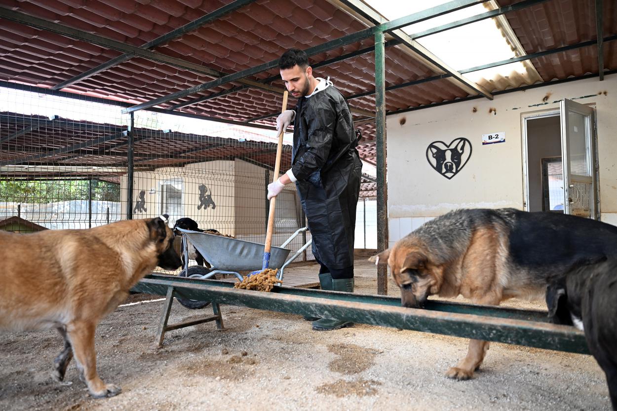 ‘Mersin’de yaşayan her canlının belediyesi olma’ anlayışı ile çalışmalarını sürdüren