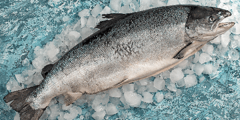 Doğu Karadeniz’den 2 ayda 8,6 milyon dolar somon ihracatı Somon ihracatı : Doğu Karadeniz İhracatçılar Birliği Su Ürünleri Sektör