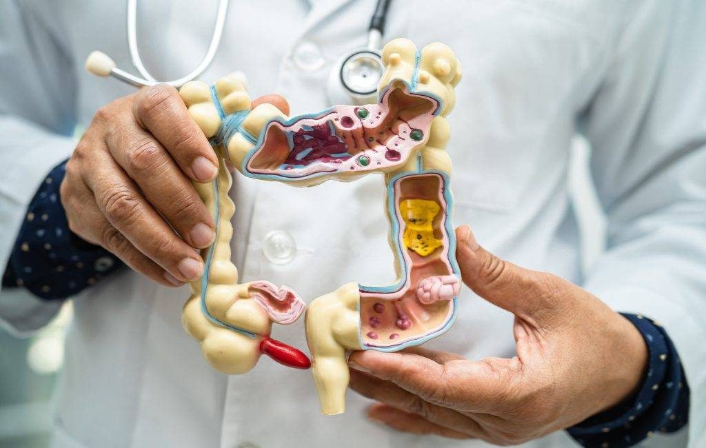 Bağırsak sağlığı tüm vücudu ilgilendiriyor.  Karın ağrısı, şiddetli ishal, dışkıda