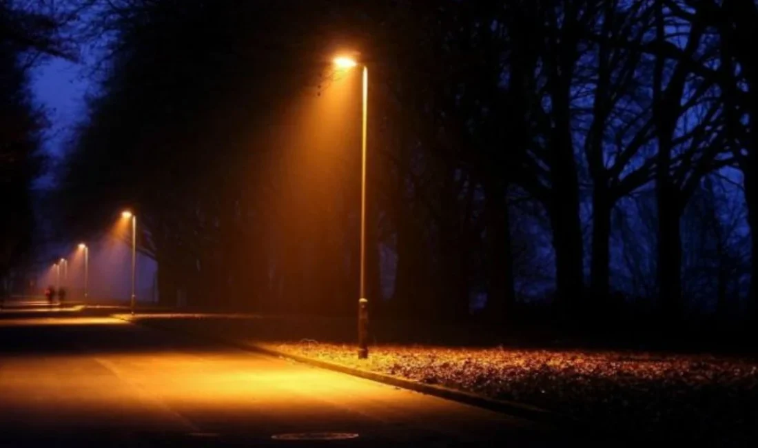 Türkiye Elektrik Dağıtım AŞ (TEDAŞ), şehirlerin enerji verimliliğini artırmak, çevre