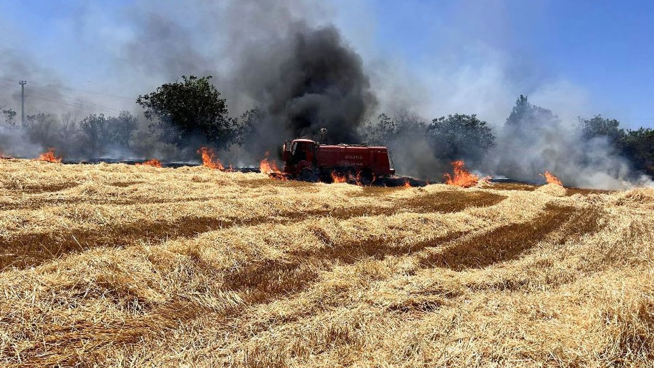 Yangın, 24 Haziran Salı günü 13:00 sıralarında Burdur'un Bucak ilçesi