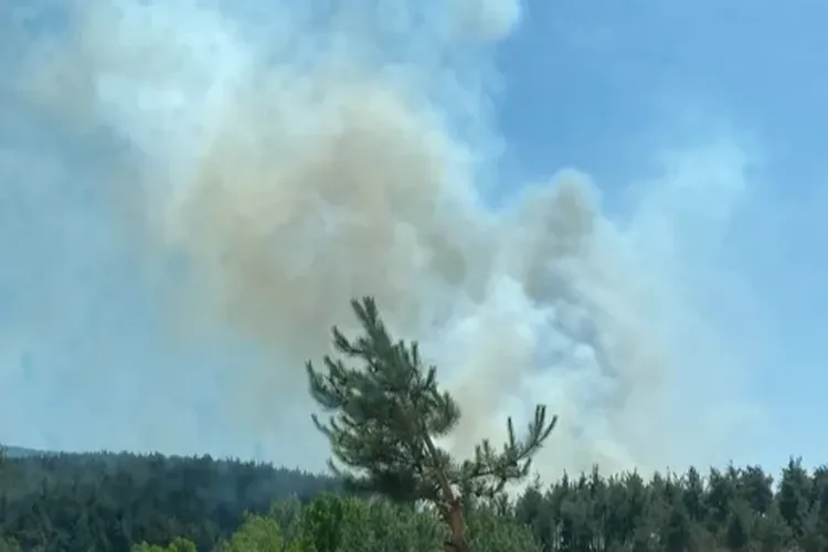 İzmir’in Kınık ilçesinde öğle saatlerinde çıkan orman yangınına havadan ve