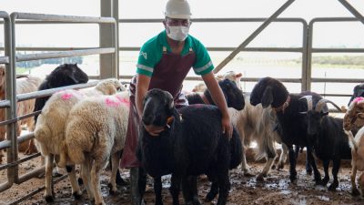 Mersin Büyükşehir Belediyesi, her Kurban Bayramı’nda olduğu gibi bu bayramda