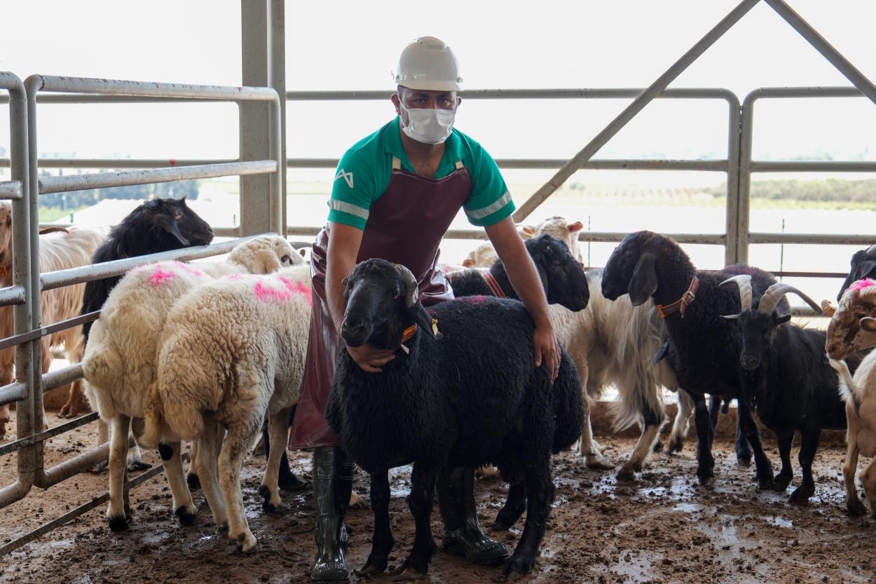Mersin Büyükşehir Belediyesi, her Kurban Bayramı’nda olduğu gibi bu bayramda