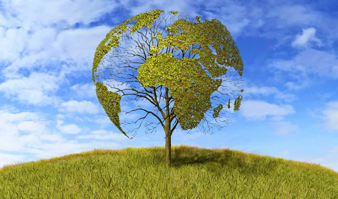  Zeytinlik arazilerinde sağlık ve çevre etki değerlendirilmesi, ekolojik denge gözetmeksizin