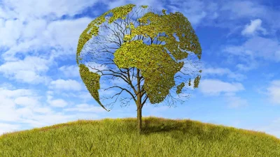  Zeytinlik arazilerinde sağlık ve çevre etki değerlendirilmesi, ekolojik denge gözetmeksizin