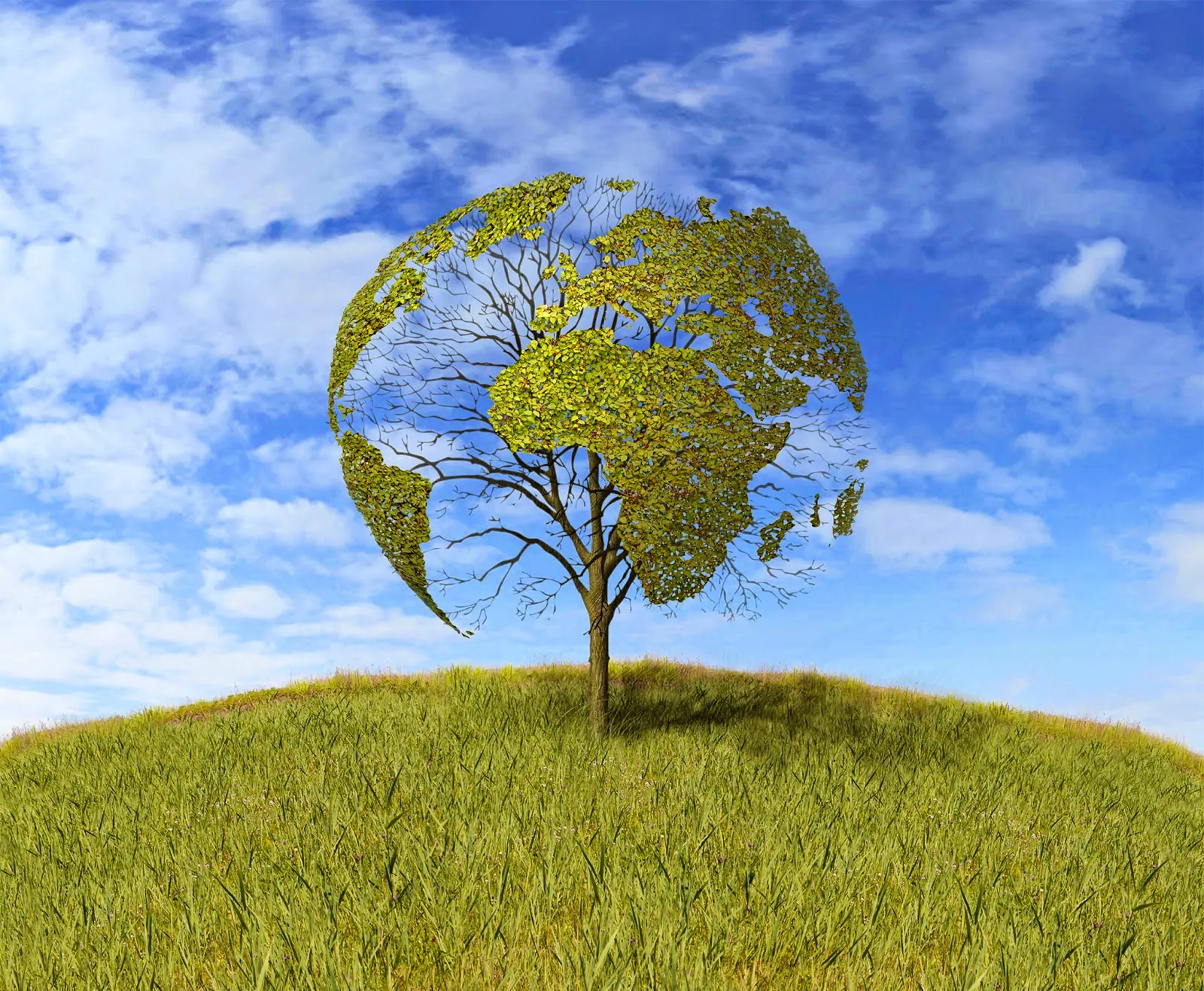  Zeytinlik arazilerinde sağlık ve çevre etki değerlendirilmesi, ekolojik denge gözetmeksizin