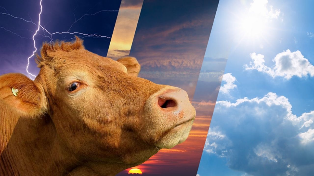 Kurban Bayramı’nda ülke genelinde hava sıcaklığı yükselmeye başlıyor.