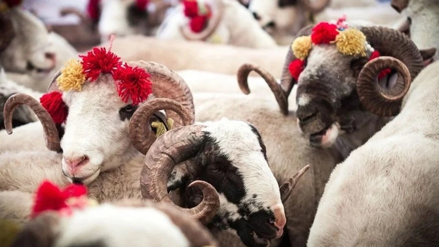 Türkiye, yarın sabah başlayacak Kurban Bayramı’na hazırlanıyor. Bayram namazına saatler