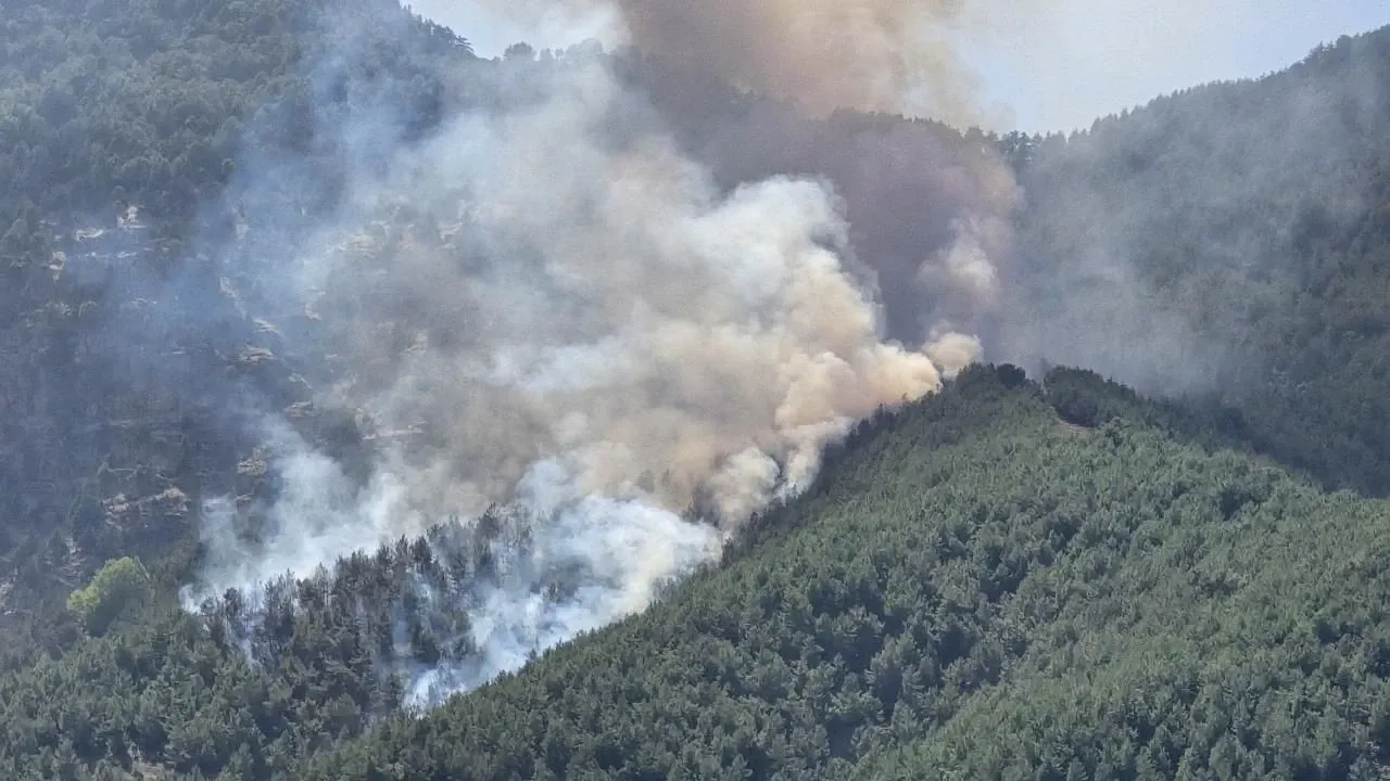 Türkiye’nin farklı illerinde çıkan orman yangınlarına karşı mücadele sürüyor.