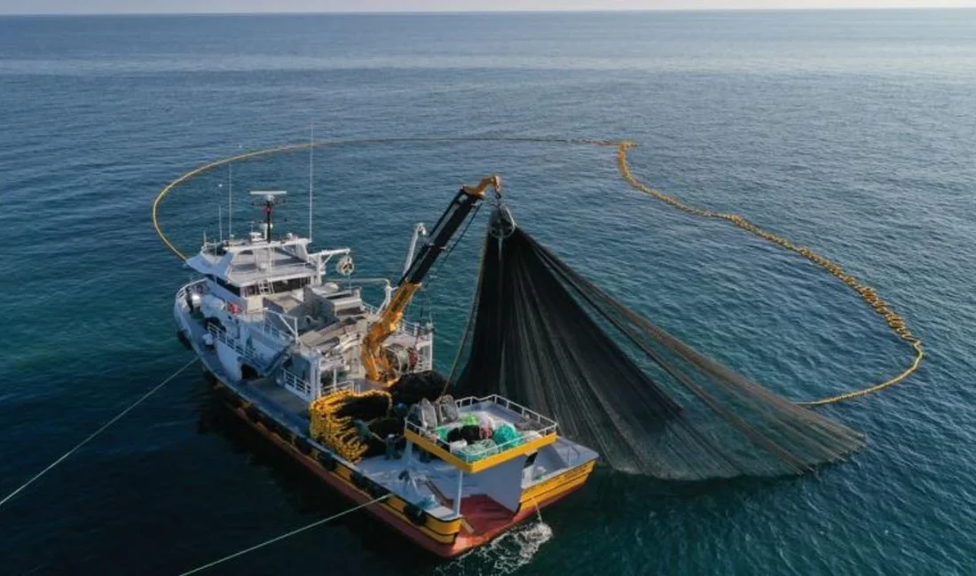 Doğu Karadeniz’in su ürünleri ihracatı 5 ayda 69,8 milyon doları aştı Doğu Karadeniz İhracatçılar Birliği Su Ürünleri Sektör Komitesi Başkan Yardımcısı