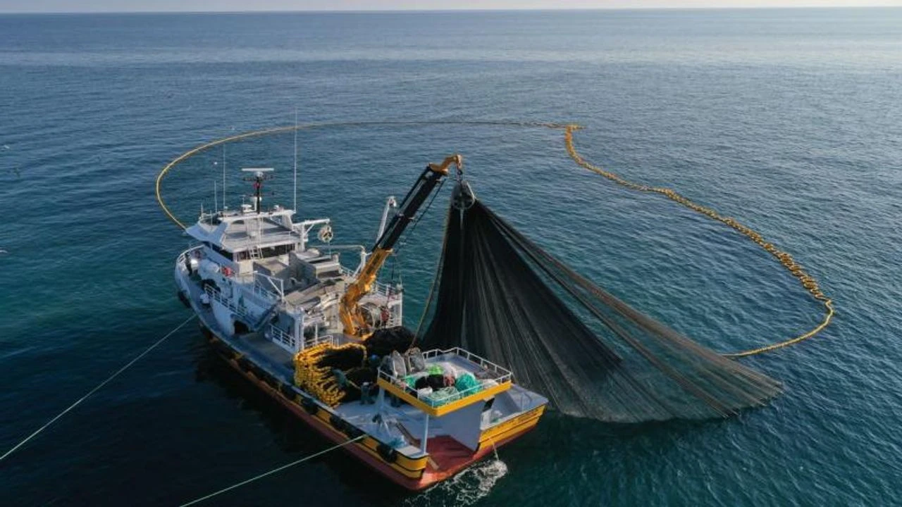 Doğu Karadeniz İhracatçılar Birliği Su Ürünleri Sektör Komitesi Başkan Yardımcısı