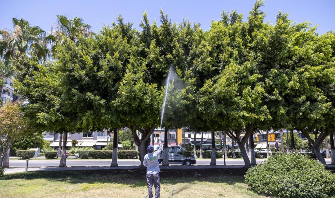 Mersin Büyükşehir Belediyesi Çevre Koruma ve Kontrol Dairesi Başkanlığı koordinesinde