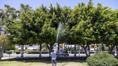 Mersin Büyükşehir Belediyesi Çevre Koruma ve Kontrol Dairesi Başkanlığı koordinesinde