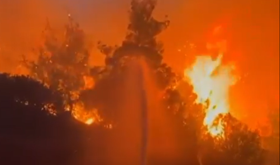 Yurt genelinde hava sıcaklıklarının artmasıyla birlikte orman yangınlarında büyük artış