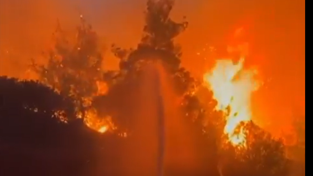 Yurt genelinde hava sıcaklıklarının artmasıyla birlikte orman yangınlarında büyük artış