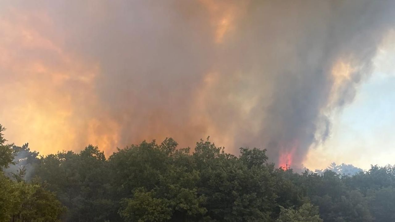 Bakan Yumaklı, Osmaneli ilçesindeki yangınla ilgili olarak yapılan çalışmaları şu