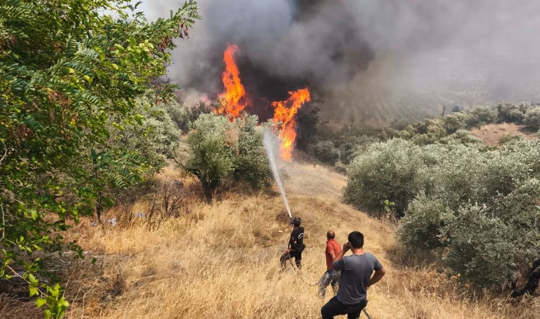 Orman gönüllülerine şehit statüsü getirildi Bakan Yumaklı, sosyal medya hesabından, Resmî Gazete’de yayımlanan “Orman Yangınlarıyla