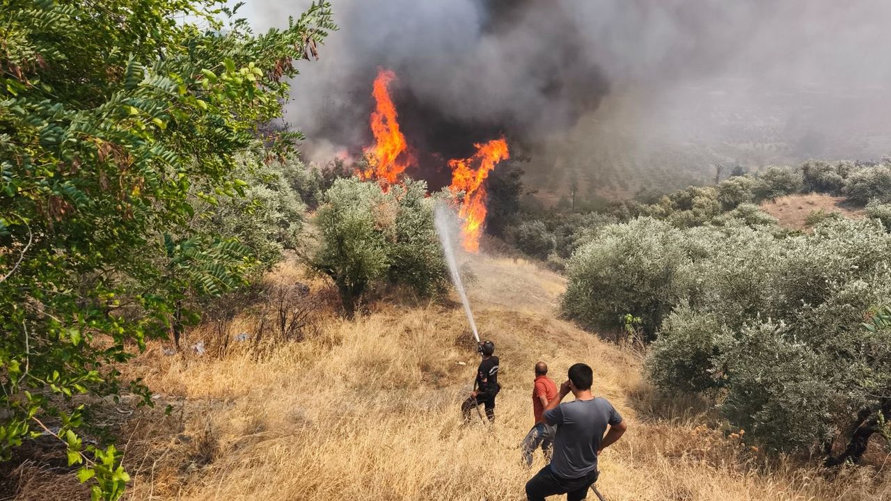 Bakan Yumaklı, sosyal medya hesabından, Resmî Gazete’de yayımlanan “Orman Yangınlarıyla