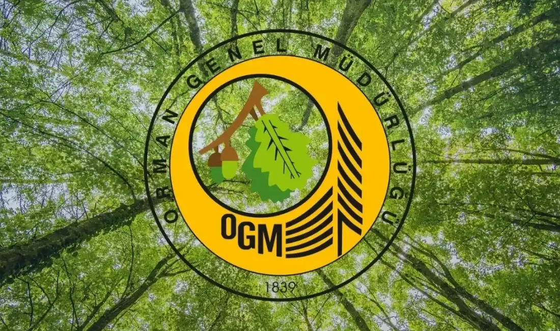 OGM: Orman yangını riski yükseldi, dikkatli olalım! Orman Genel Müdürlüğü, meteorolojik veriler doğrultusunda orman yangınlarına karşı yüksek
