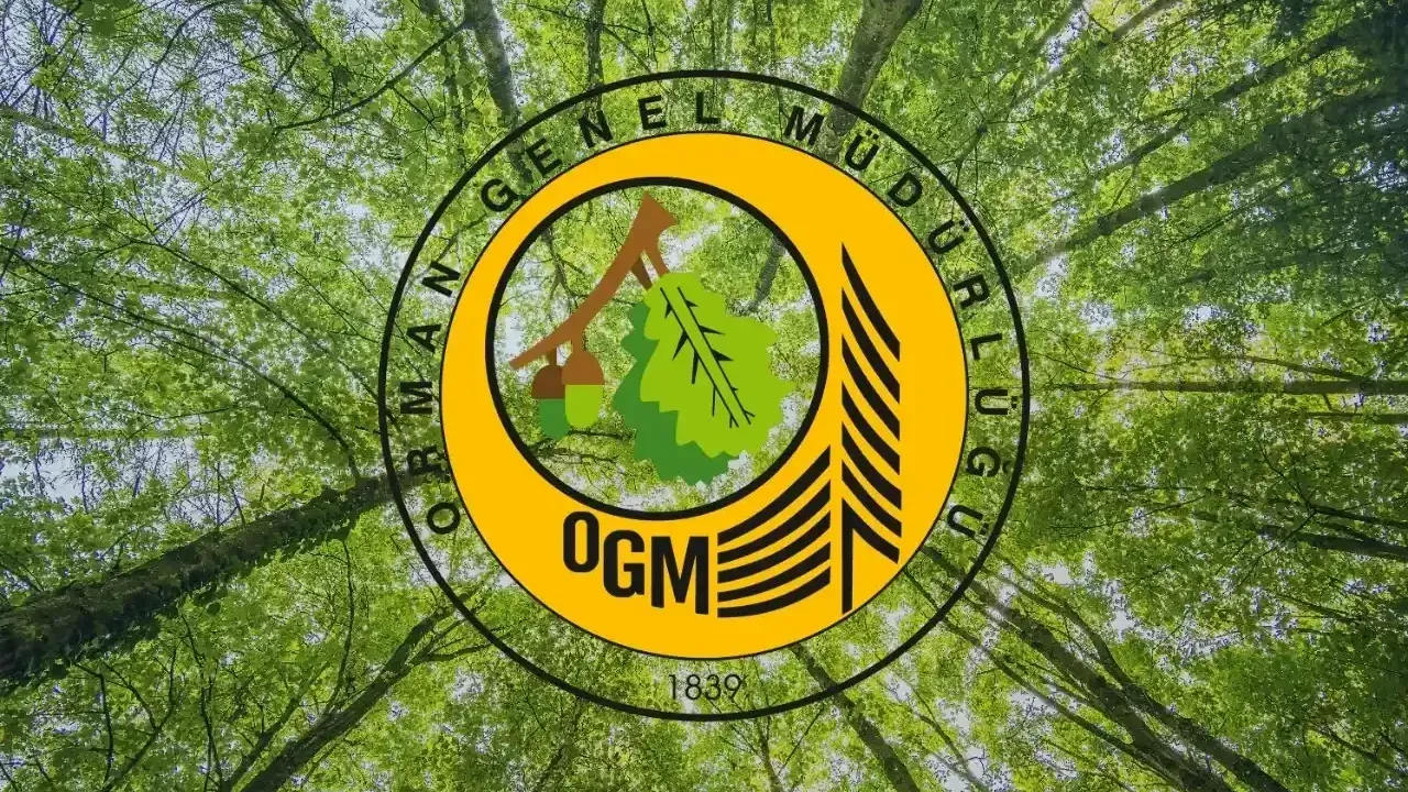 OGM: Orman yangını riski yükseldi, dikkatli olalım! Orman Genel Müdürlüğü, meteorolojik veriler doğrultusunda orman yangınlarına karşı yüksek